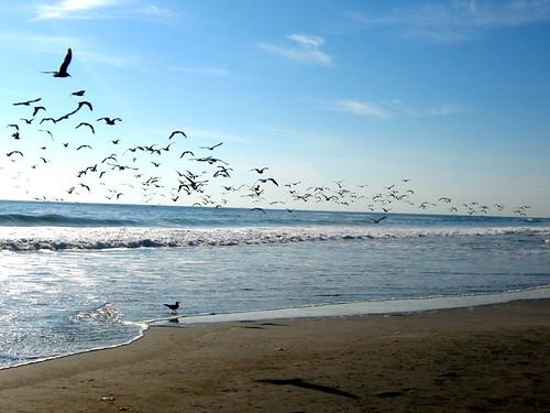 Sandee Playa Huaiquique Photo