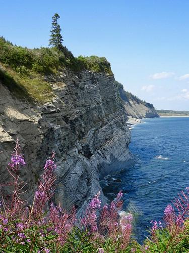 Sandee Cap-Bon-Ami Vantage Point