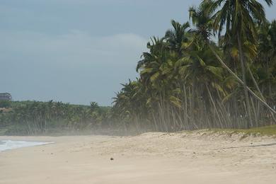 Sandee Gomoa Fetteh Beach Photo