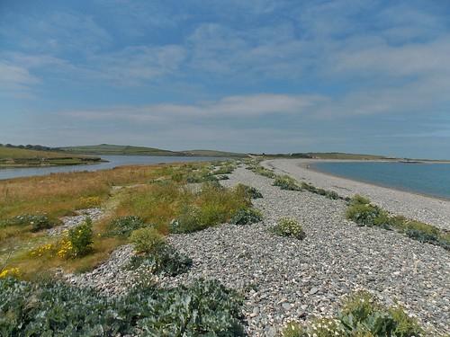 Sandee - Sand Island Ecological Reserve