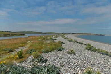 Sandee - Sand Island Ecological Reserve