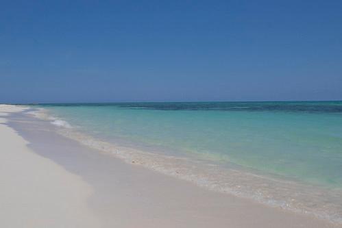 Sandee Royalton White Sands Montego Bay
