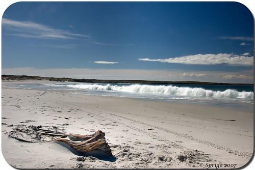 Sandee Surf Bay