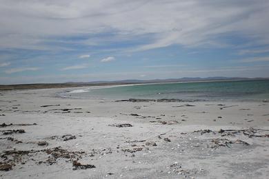 Sandee Bertha's Beach