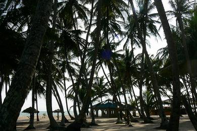 Sandee La Campagne Tropicana