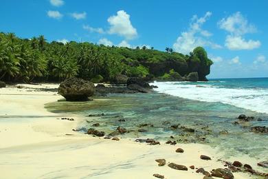 Sandee Dolly Beach