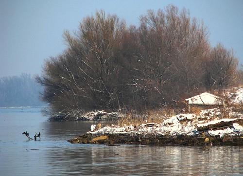 Sandee - HomePage / Pancevo City