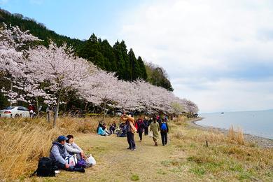 Sandee Osaki Beach Photo