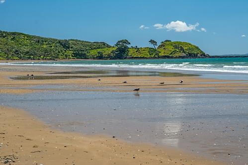 Sandee Cooper Beach Photo