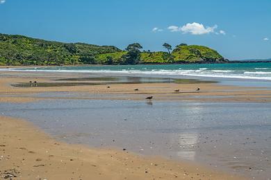 Sandee Cooper Beach