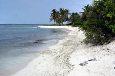 Sandee Petit Tabac Beach Photo