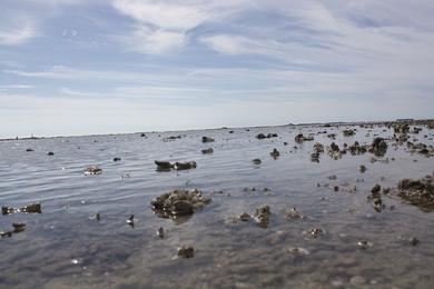 Sandee Houliao Beach Photo