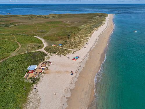 Sandee - Shell Beach