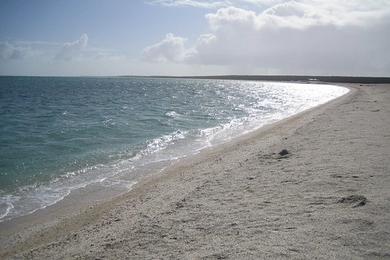 Sandee - Shell Beach
