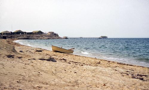 Sandee - HomePage / Mangaf
