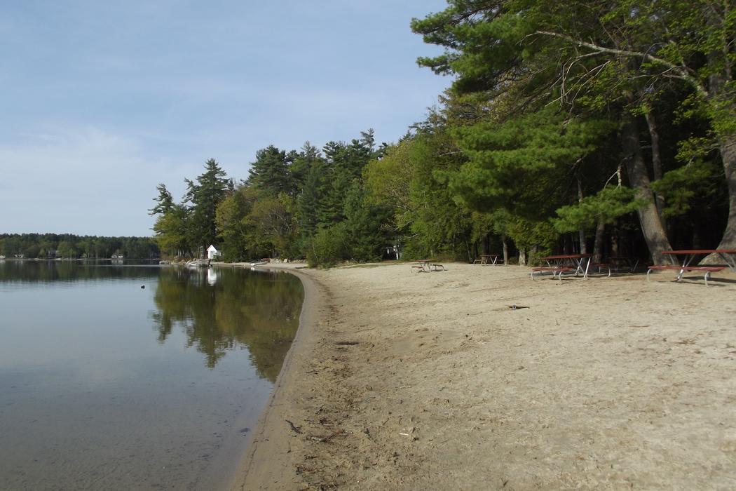 Sandee Allen Albee Beach