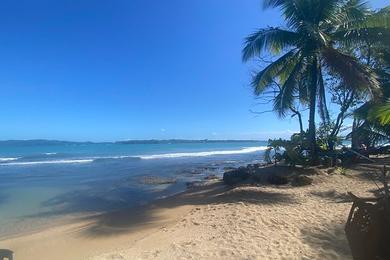 Sandee Playa Paunch