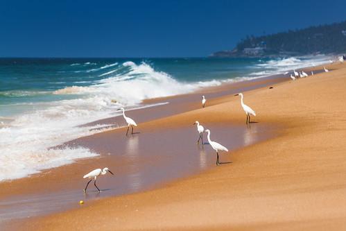 Sandee Adrenaline Beach