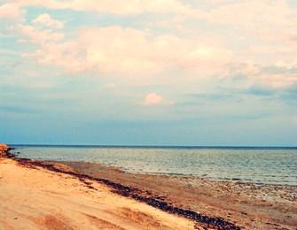 Sandee Uqair Beach