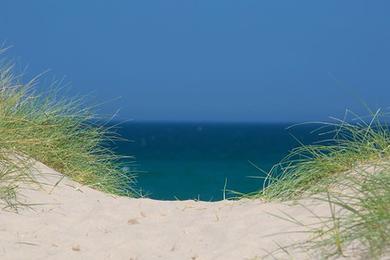 Sandee Ross Back Sands Beach Photo