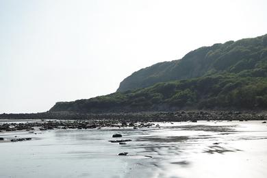 Sandee Fairlight Glen Beach Photo