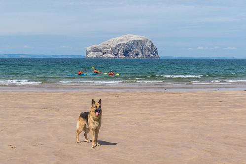 Sandee Seacliff Beach