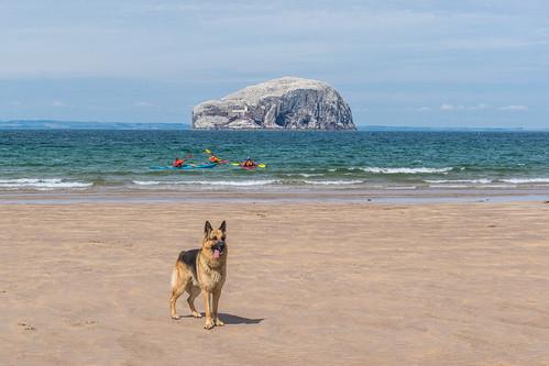 Sandee - Seacliff Beach