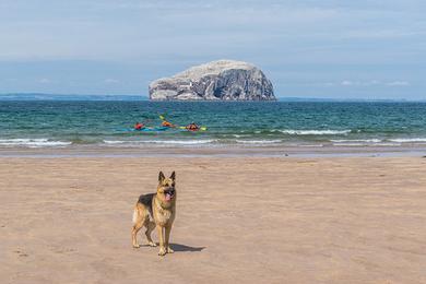 Sandee Seacliff Beach