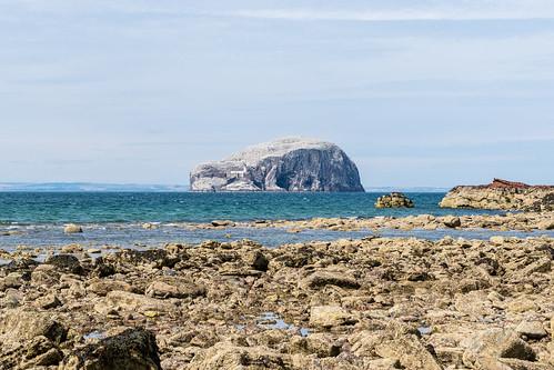 Sandee - Seacliff Beach