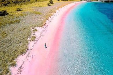 Sandee - Pink Bay Beach