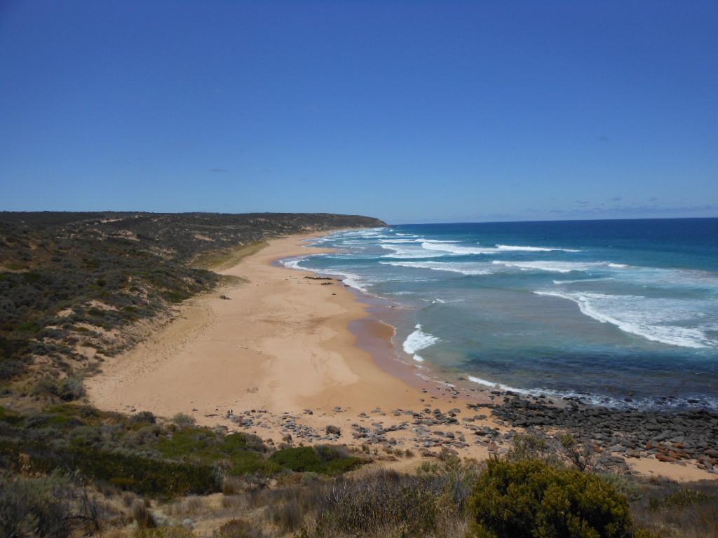 Sandee - Parsons Beach