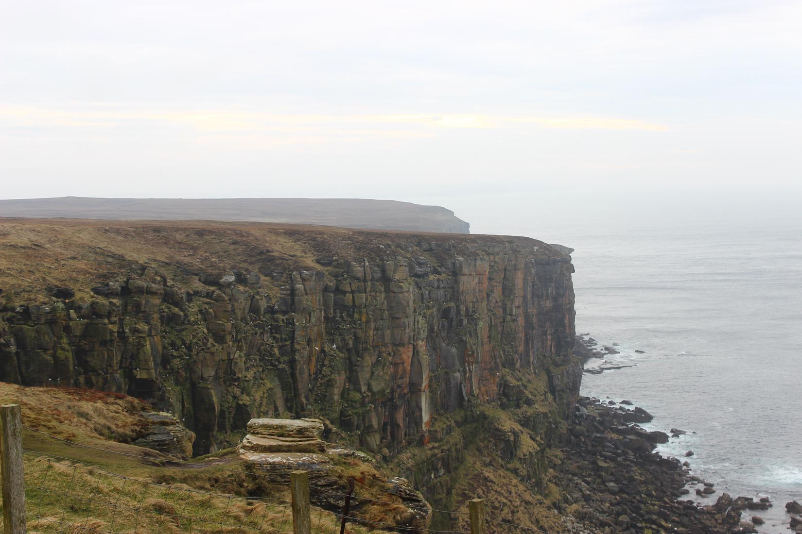 Sandee - Thurso East