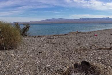 Sandee Nellis Cove