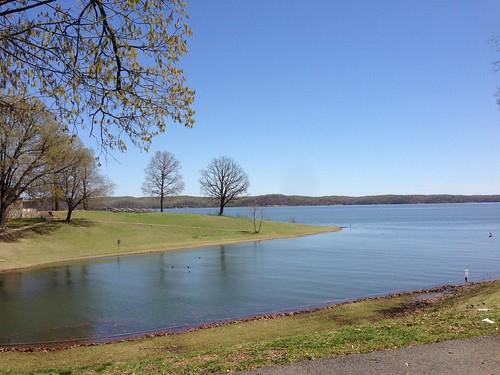 Sandee Kentucky Lake Photo