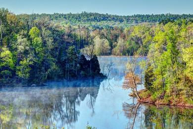 Sandee Pennyrile Forest State Resort Park