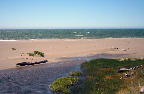 Sandee Arizona Beach Photo