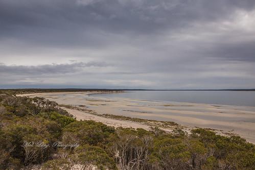 Sandee - Lincoln Beach