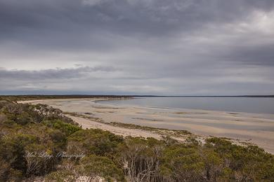 Sandee Lincoln Beach Photo