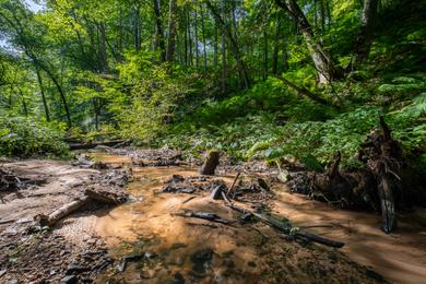 Sandee - Honey Creek State Creek