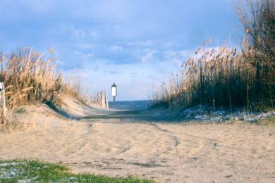 Sandee - Long Branch Beach