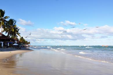 Sandee Frances Beach
