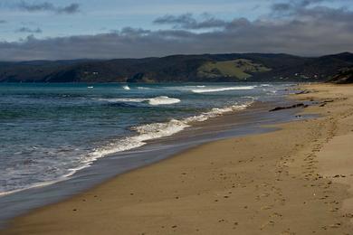 Sandee Fairhaven Beach