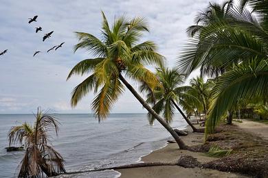 Sandee Playa Quehueche Photo