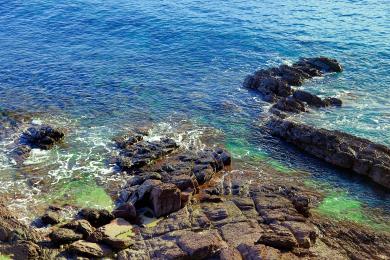 Sandee - Hallett Cove Beach