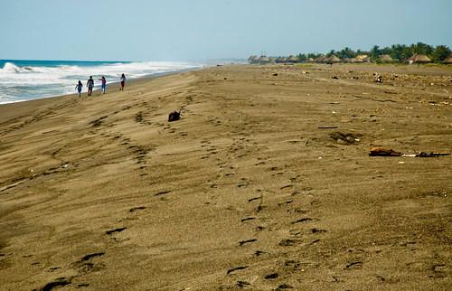 Sandee Tahuexco
