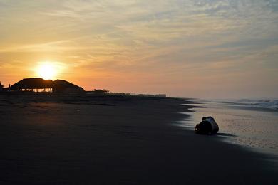 Sandee Playa Tecojate