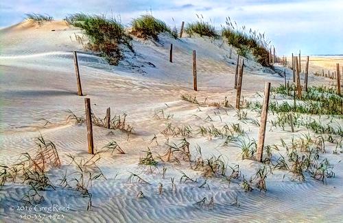 Sandee - Currituck Outer Banks Preserve Dedicated Nature Preserve