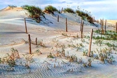 Sandee - Currituck Outer Banks Preserve Dedicated Nature Preserve