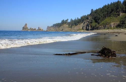 Sandee - Beach 1, Olympic National Park