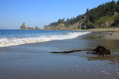 Sandee - Beach 1, Olympic National Park